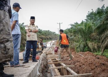 Kualitasnya Mantap, Jalan Desa Tanjung Agung Jadi Contoh Pembangunan di Muba