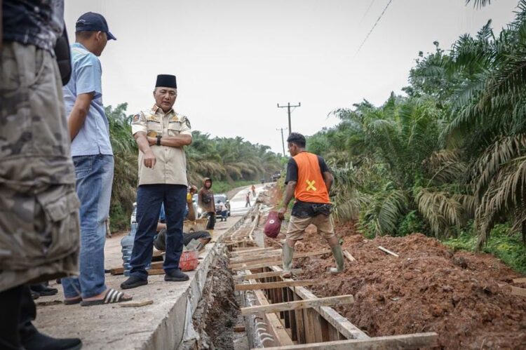 Kualitasnya Mantap, Jalan Desa Tanjung Agung Jadi Contoh Pembangunan di Muba