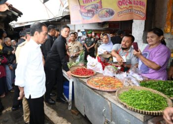 Jokowi Cek Harga Bahan Pokok di Pasar Mungkid Magelang