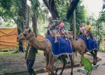 Kebun Binatang Surabaya Berhasil Bangkit dari Pandemi Covid-19