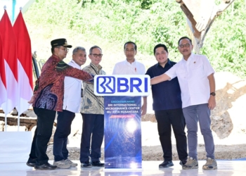 Jokowi: Minat Investasi di IKN Tinggi, Banyak Investor Antre