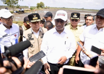 Pj Gubernur Agus Fatoni bersama Mentan RI Tinjau Kegiatan Upsus Optimalisasi Lahan Rawa 2024 di Banyuasin