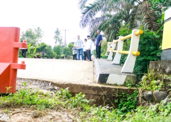 Jembatan Sumber Urip Plakat Tinggi Hampir Ambruk, Pj Bupati Muba Apriyadi Langsung Perbaiki
