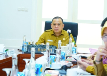 PJ Bupati Sandi Fahlepi Ikuti langsung Rakor Pengendalian Inflasi 2024