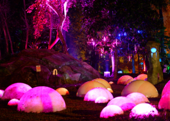 Hutan Mycelia Cikole, Perpaduan Alam dengan Permainan Visual