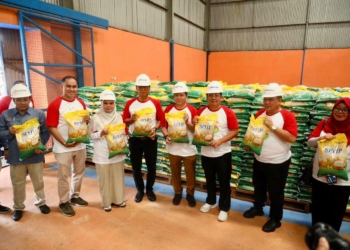 Pj Gubernur Elen Setiadi Dampingi Kepala Bapanas RI Tinjau Gudang Bulog dan Penggilingan Padi