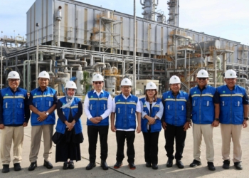 Pj Gubernur Elen Setiadi Dampingi Deputi Bidang Koordinasi Pangan dan Agribisnis Kemenko Perekonomian Tinjau Pembangunan Pabrik PT Pusri 