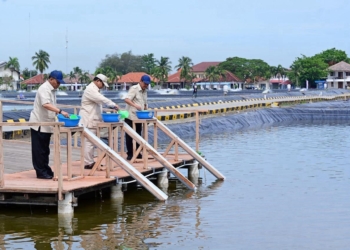 Presiden Prabowo Tinjau Kawasan BLUPPB Karawang, Dorong Swasembada Pangan dan Ekonomi Biru