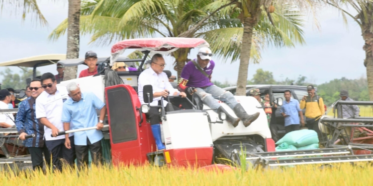Menko Pangan Zulkifli Hasan Panen Raya di Banyuasin