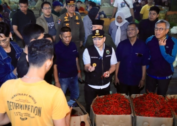 Pj Gubernur Elen Setiadi Sidak Pasar Pasar Induk Jakabaring