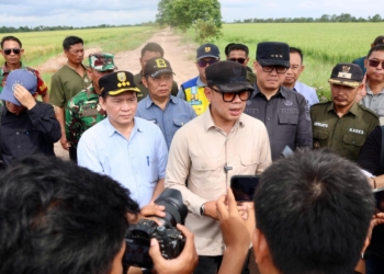 Wamendagri Bima Arya Tinjau Saluran Irigasi Pertanian di Tanjung Lago Banyuasin