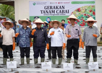 Pj Gubernur Elen Setiadi Luncurkan Gerakan Tanam Cabai dan Bawang Merah Serentak se-Sumsel  