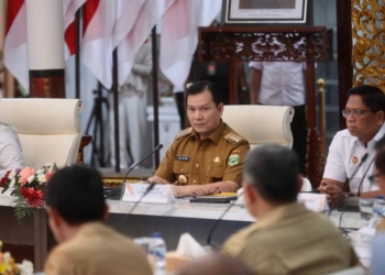 Pemprov Sumsel Jamin Penyerapan Gabah Petani Bakal Lebih Maksimal