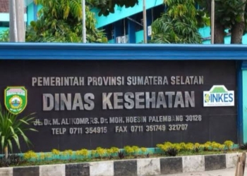 Sepanjang 2025: Kasus DBD di Sumsel Capai 309, Empat Orang Meninggal