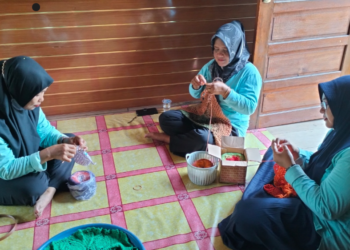 Dari Ngerumpi Jadi Rejeki: SIBA Rajut, Kerajinan Ibu Rumah Tangga Binaan PTBA yang Makin Berkembang