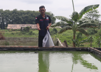 Dari Lubang Galian Jadi Kolam Cuan: Kisah Sukses Syarif dan Program LENTERA SUKAMORO