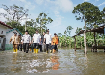 7 Daerah di Sumsel Terendam Banjir, Ribuan Warga Terdampak