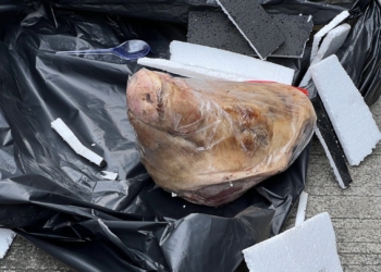 Tempo Dapat Ancaman Teror Kiriman Kepala Babi!