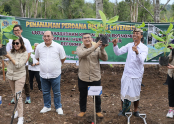 Wamen ATR/Waka BPN Tanam Pisang di Jembrana, Wujud Penataan Akses Tanah Ulayat Pertama di Indonesia