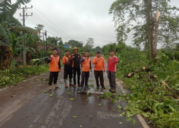 Bupati Muba Toha Apresiasi Respons Cepat Tim Gabungan Evakuasi Pohon Tumbang di Sekayu