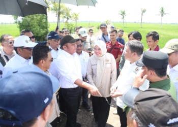 Herman Deru Bersama Komisi IV DPR RI Tinjau Lokasi OPLA Desa Srimenanti Tanjung Lago Banyuasin