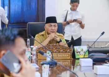 Pemkab Muba Ikuti Rakor Wilayah TP2DD 2025