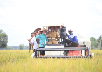 Panen Raya Serentak Bersama Prabowo, Gubernur Sumsel Salurkan Bantuan Simbolis Kepada Kelompok Tani
