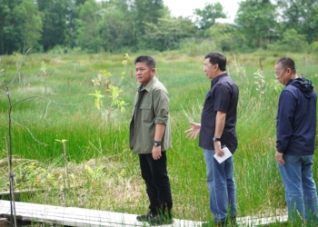 Herman Deru Tinjau Lintasan Drag Race dan Road Race JSC