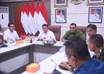 Herman Deru Tegaskan Komitmen Sumsel Dukung Ketahanan Pangan Lewat Cetak Sawah