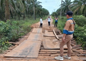 Pemkab Muba Segera Perbaiki Jembatan Desa Warga Mulya (B4)