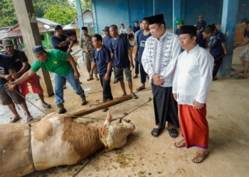 Warga Muba Sembelih Sapi Presiden Prabowo: Momen Berkah Iduladha Penuh Makna