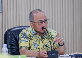 Empat Desa di Muba yang Masuk Kawasan Hutan Segera Nikmati Aliran Listrik