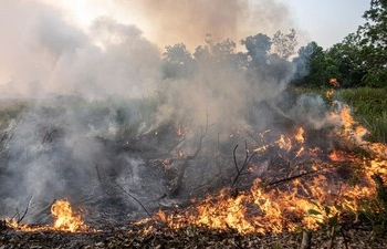 Sidang Gugatan Karhutla Grup Sinar Mas Masuki Babak Akhir, Kuasa Hukum Harap Putusan Berpihak pada Lingkungan