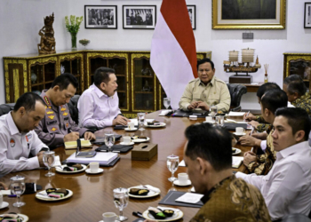 Prabowo Perintahkan Tindak Tegas Pelanggaran Standar Beras Premium dan Medium