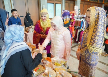 Ketua BKOW Sumsel Ajak Kaum Perempuan Perkuat Peran dalam Pembangunan Daerah