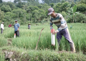 Kementerian ATR/BPN: Gemapatas Akan Dicanangkan Serentak di 23 Kabupaten/Kota