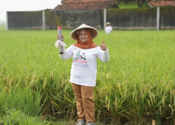 Kementerian ATR/BPN Dorong Partisipasi Masyarakat Pasang Patok Batas Tanah Melalui Gemapatas