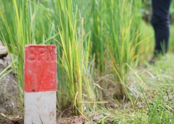Kurangi Masalah Batas Tanah, Nusron Wahid Imbau Masyarakat Pasang Patok Permanen