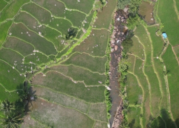 Nusron Wahid: Reforma Agraria Jawab Ketimpangan Penguasaan dan Pemilikan Tanah