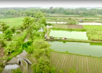 Mengenal Desa Rejoagung: Potensi Desa Meningkat Setelah Program Penataan Akses Reforma Agraria