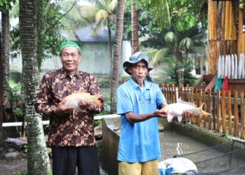 Kampung Reforma Agraria Desa Bandung Kembangkan Pembibitan dan Budidaya Ikan