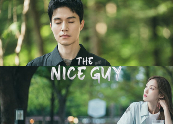 The Nice Guy