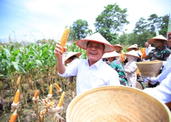 Sumsel Raih Apresiasi Kementan atas Inovasi Padi Apung dan Gerakan Mandiri Benih