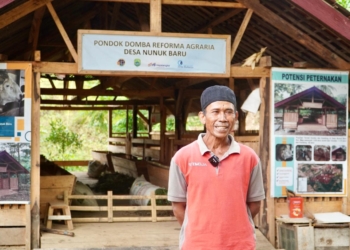 Reforma Agraria Buka Akses Warga Desa Nunuk Baru Jalankan Usaha Ternak Domba