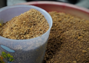 Lewat Usaha Gula Semut, Reforma Agraria Bangkitkan Kemandirian Ekonomi Desa Hargorejo di Kulon Progo