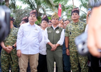 Pemerintah Mulai Relokasi Masyarakat dari Taman Nasional Tesso Nilo