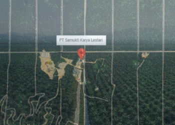 PT Samukti Karya Lestari,