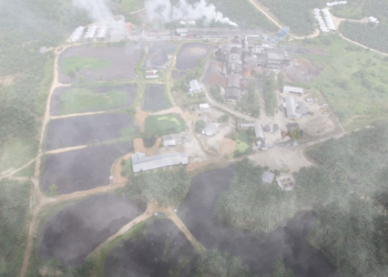 Perkebunan Kelapa Sawit, pt sago nauli