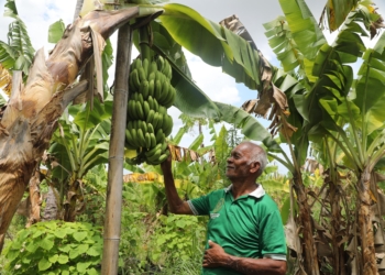Reforma Agraria Ubah Pola Pikir Warga Desa Baumata di Kabupaten Kupang