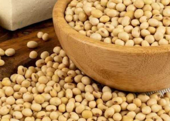 Manfaat Kacang Kedelai